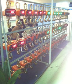 海南電子吊秤與鉤頭秤 高精度稱重解決方案，廠家直銷更省心